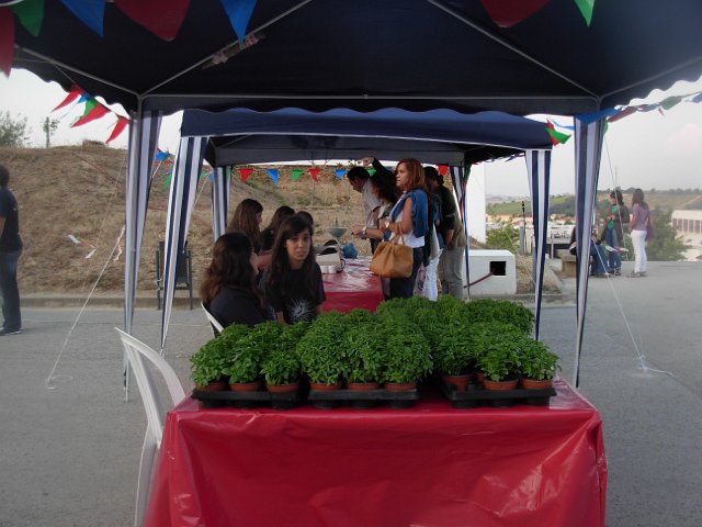 Arraial Ejaf 2010 127